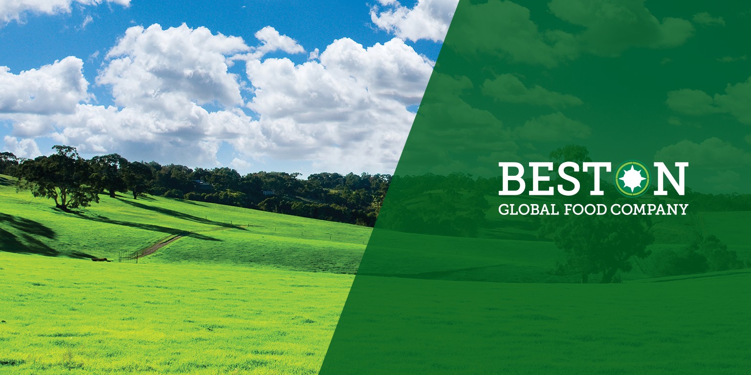 Major Dairy Equipment Auction: Beston Global Food Company Assets Go Under the Hammer