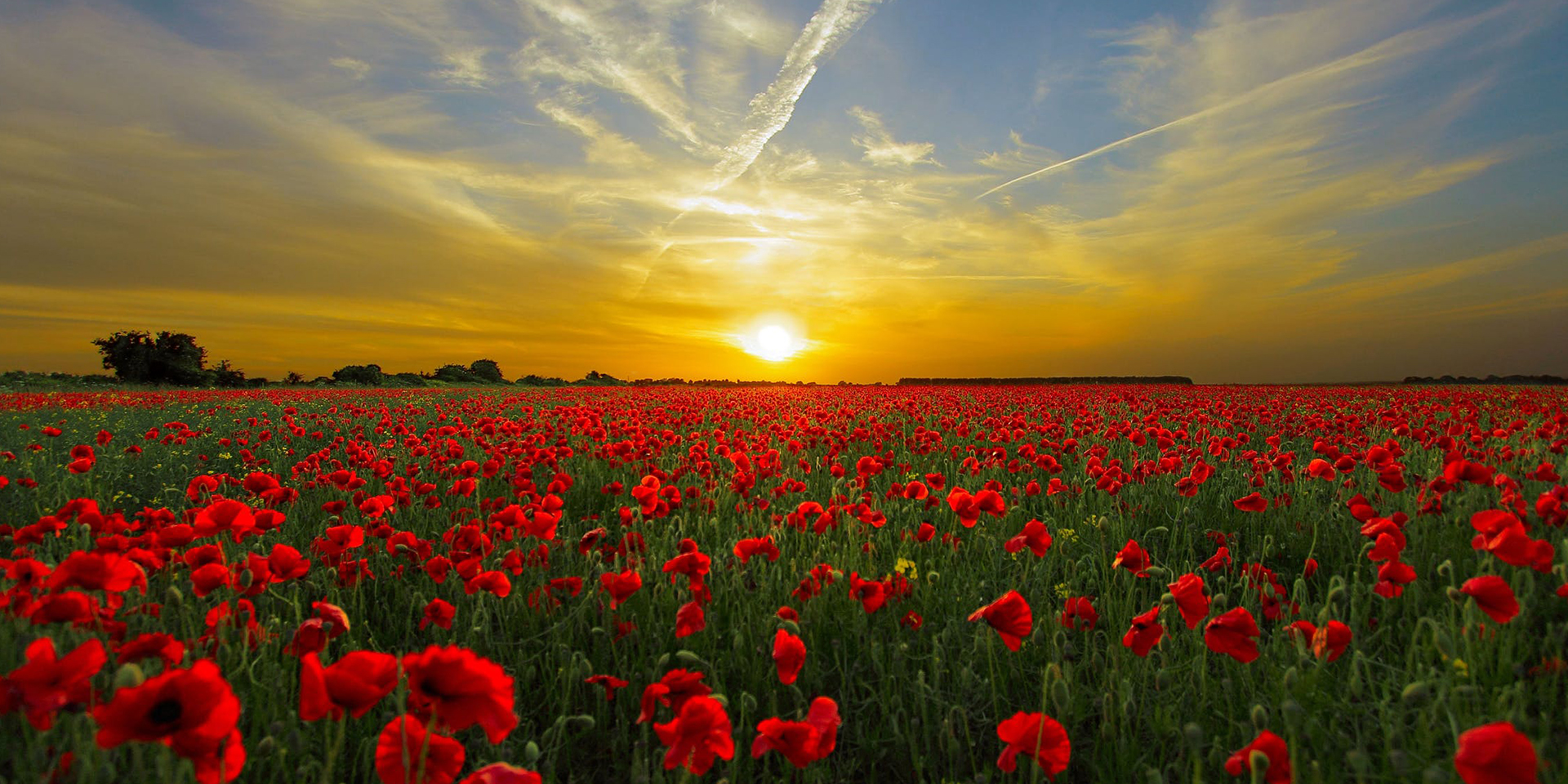Anzac Day announcement 