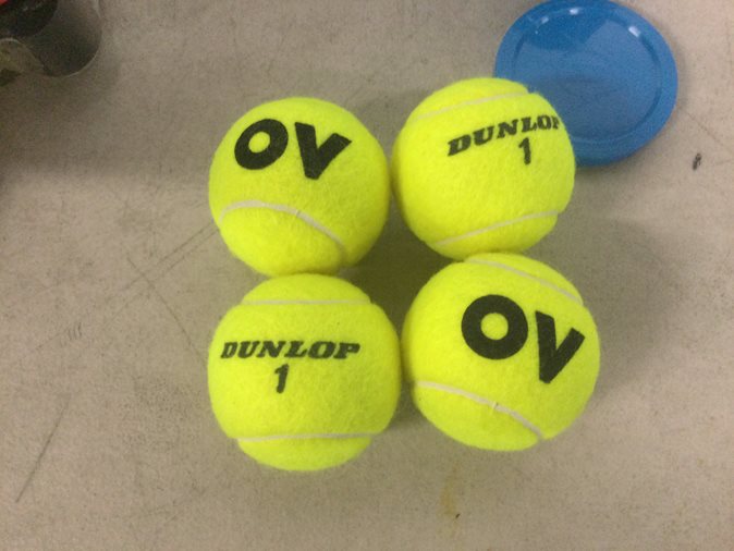 View Dunlop tennis balls available via auction.