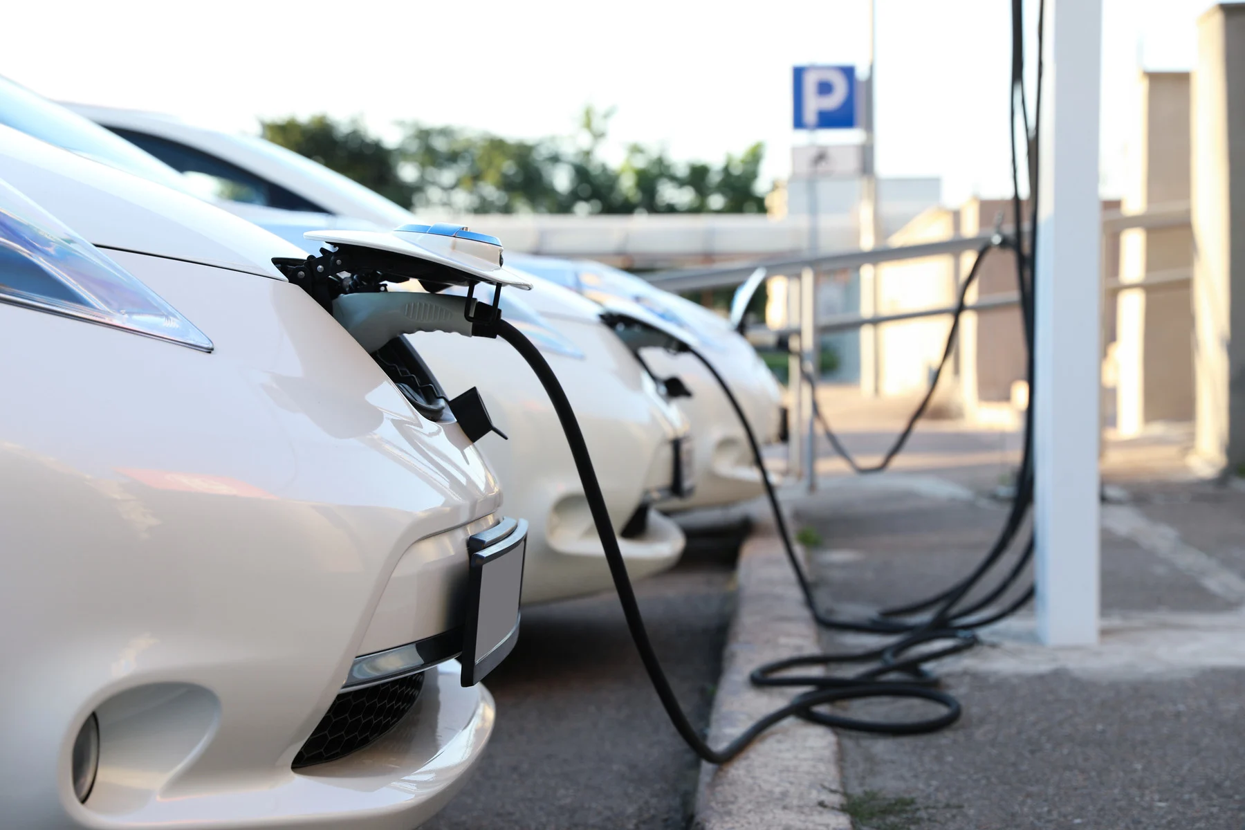 The ultimate electric vehicle road trip in Australia - image 2