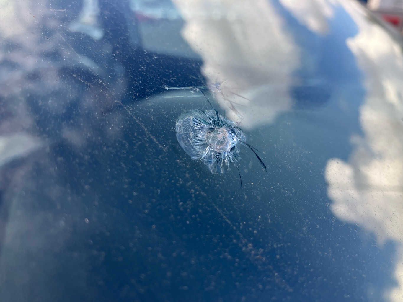 Vehicle photo