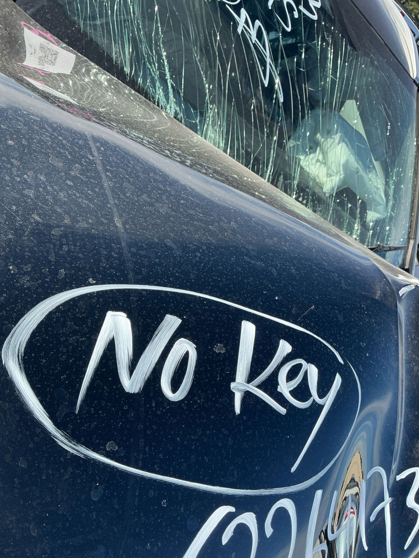 Vehicle photo