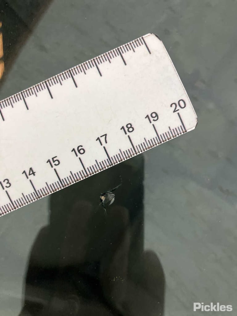 Slide 47
