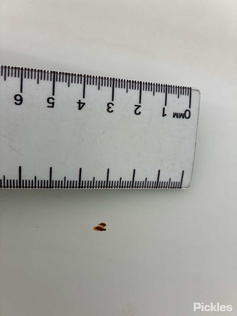 Slide 22