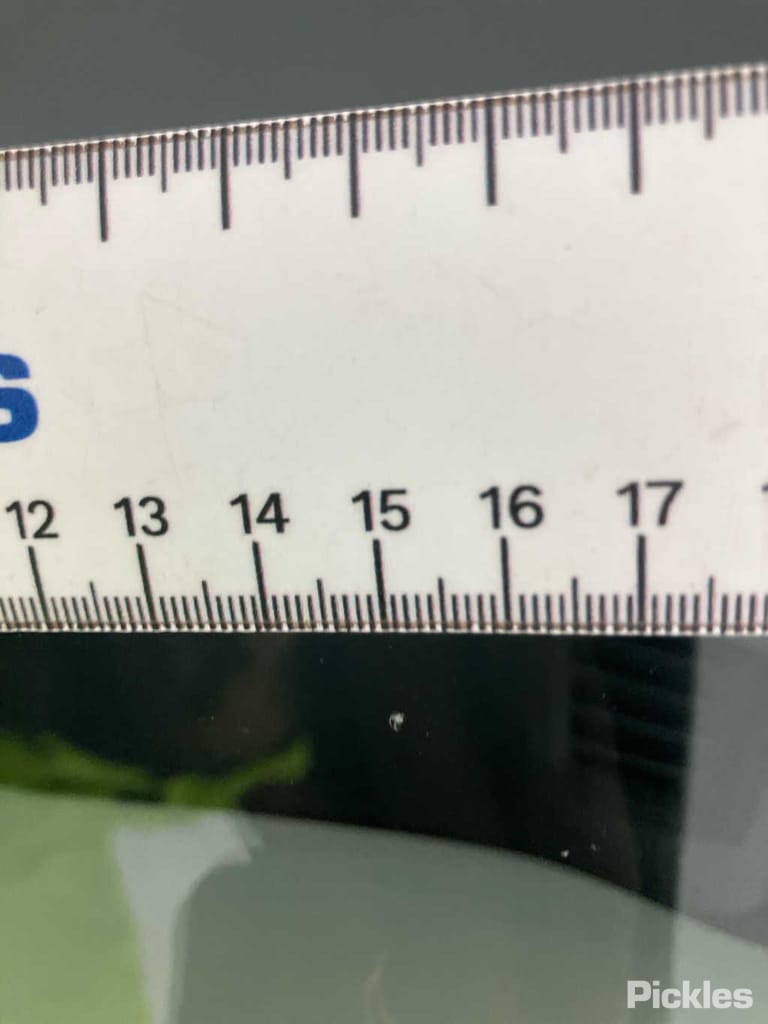 Slide 29