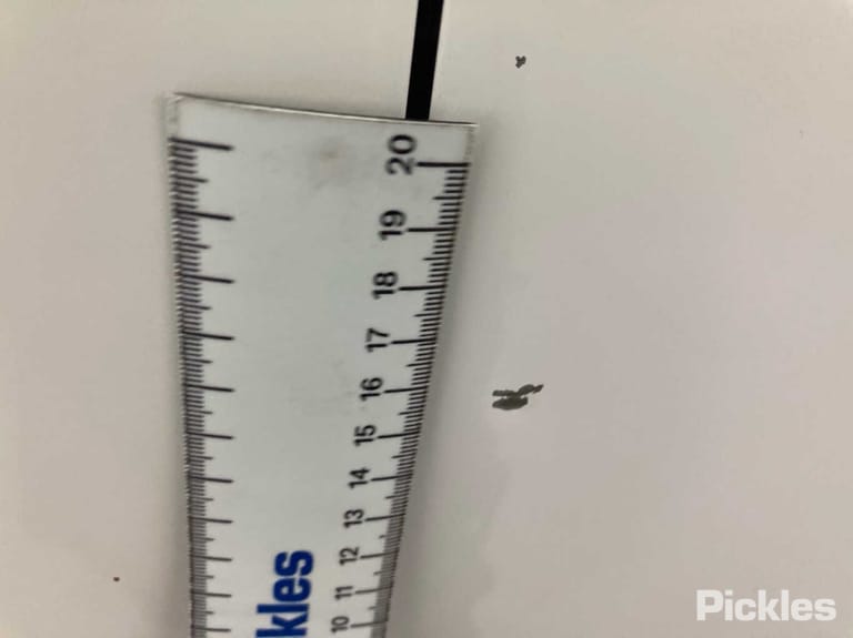 Slide 67