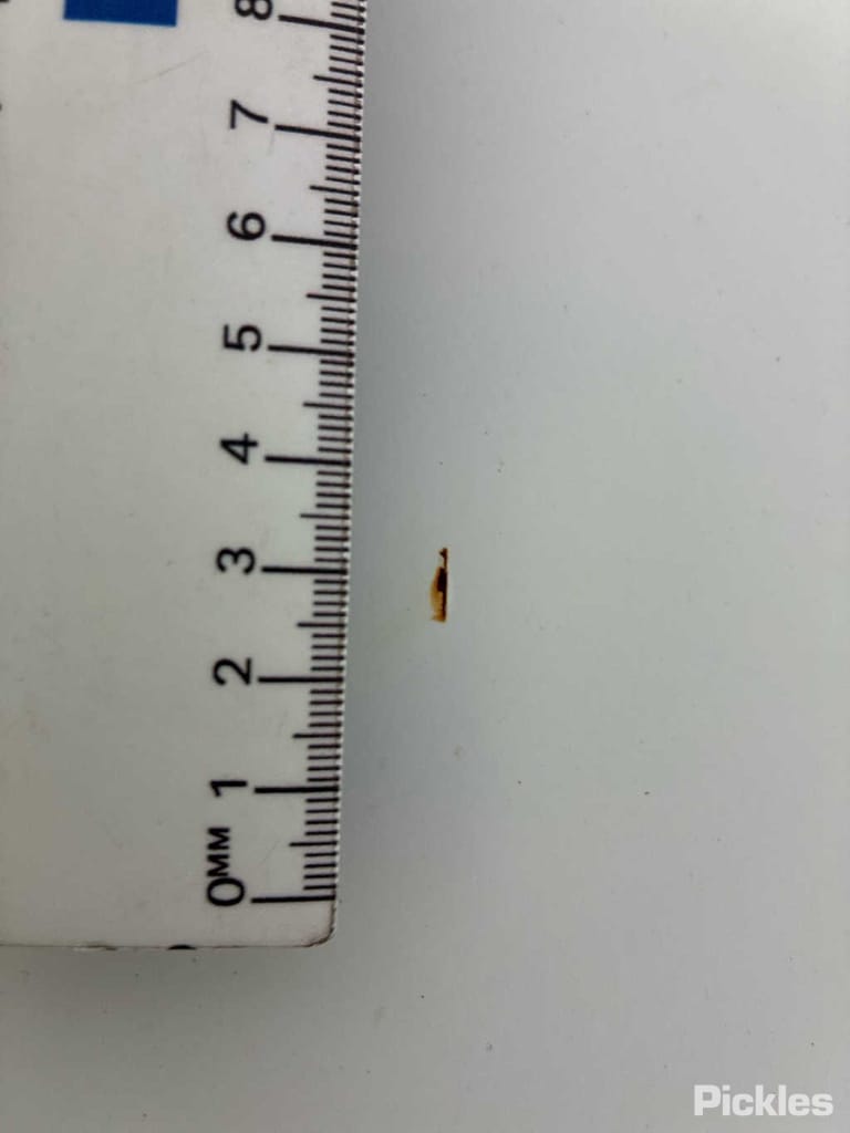 Slide 44