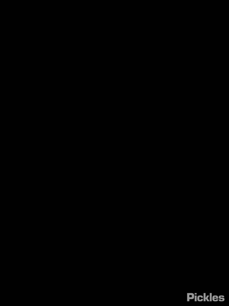 Slide 9