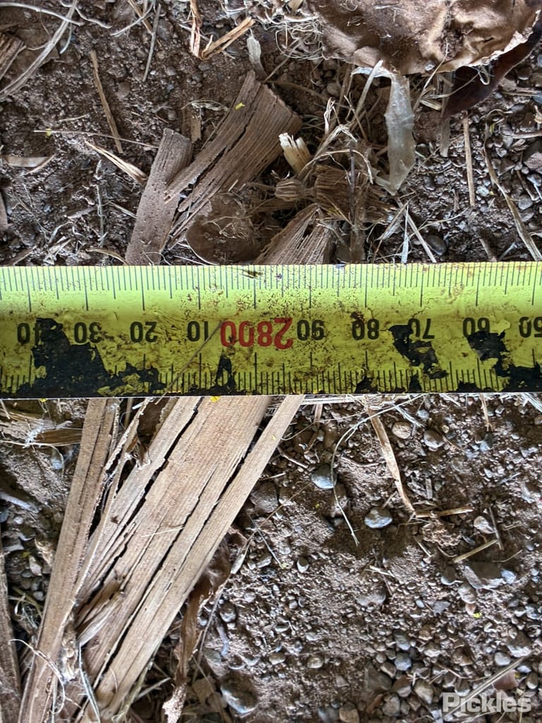 Slide 36