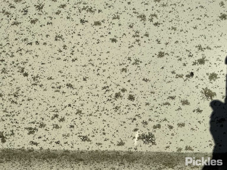Slide 40