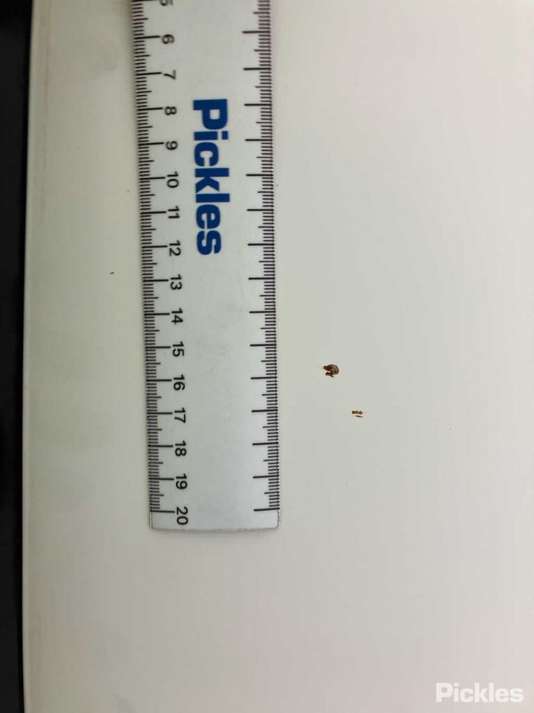 Slide 36