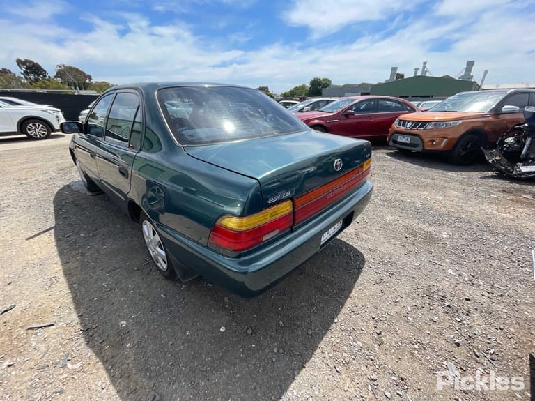 Slide 5