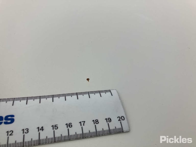 Slide 33