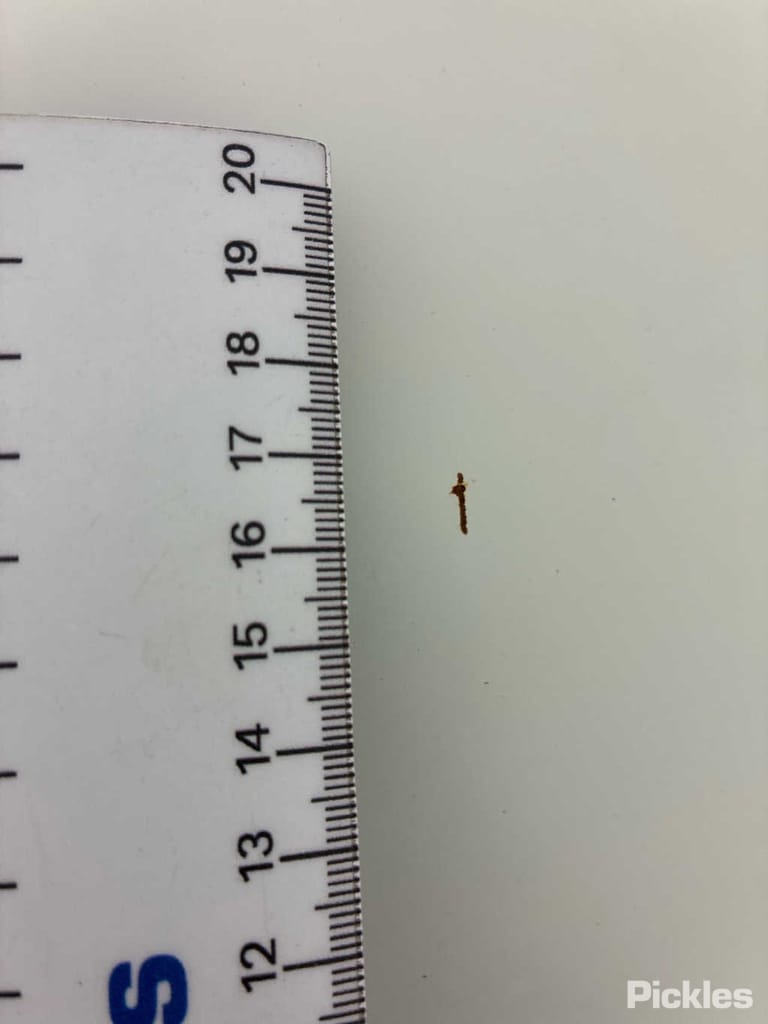 Slide 25
