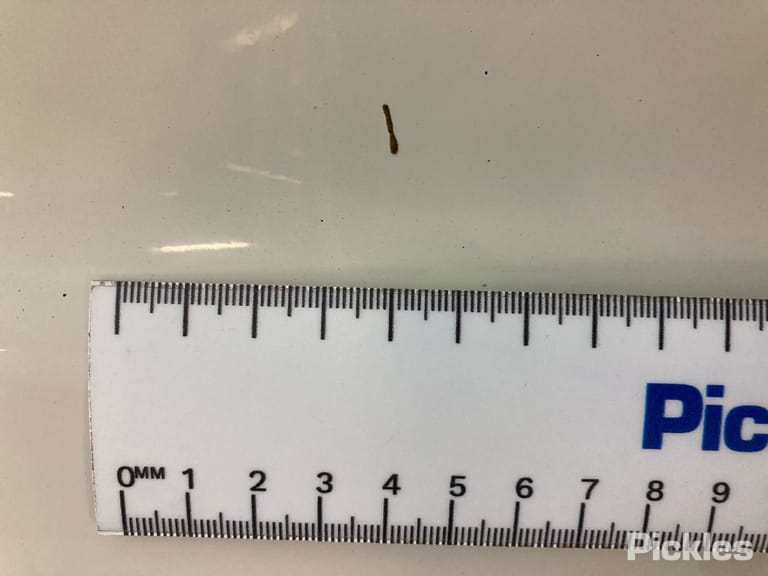 Slide 29
