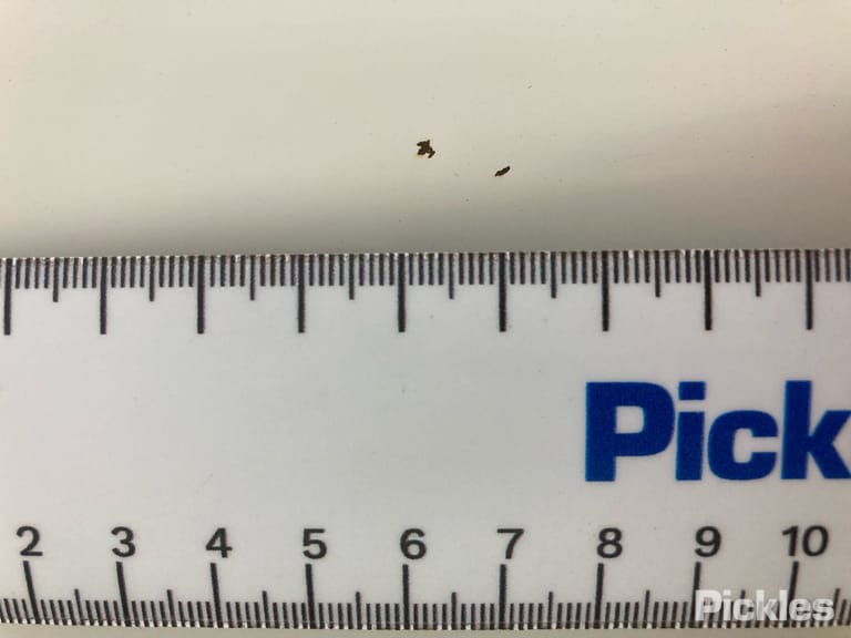 Slide 22