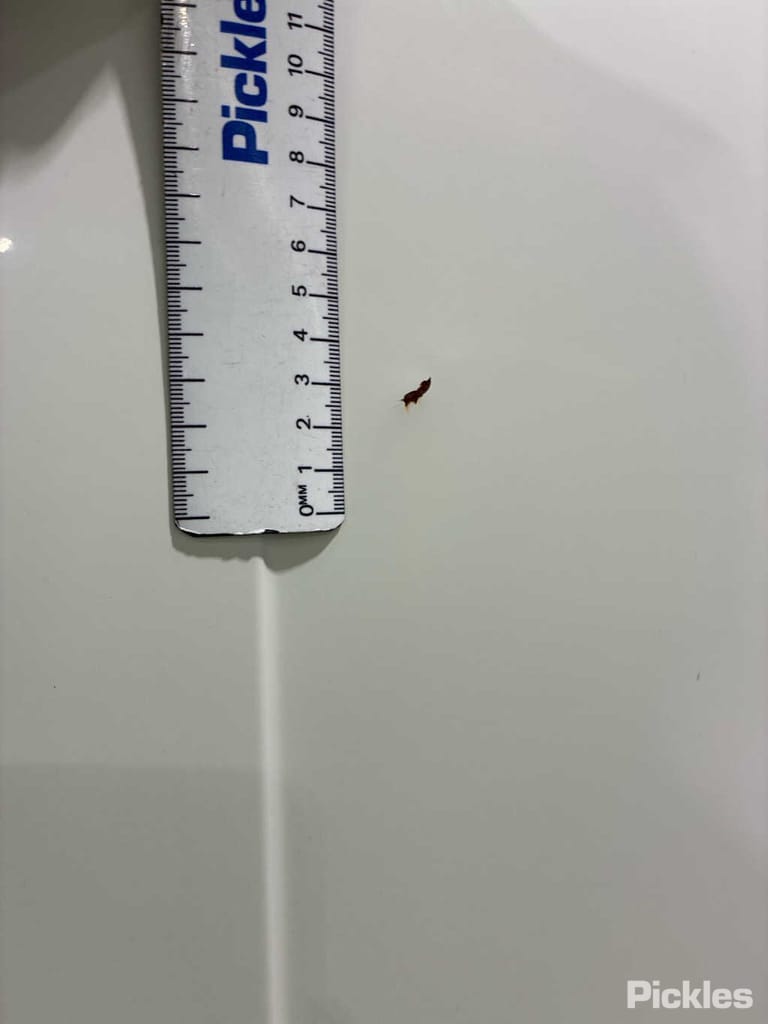 Slide 44