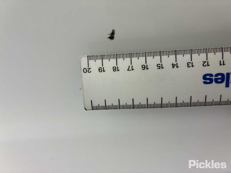 Slide 25