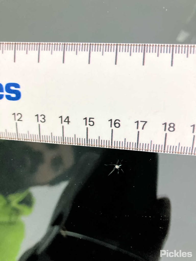 Slide 34
