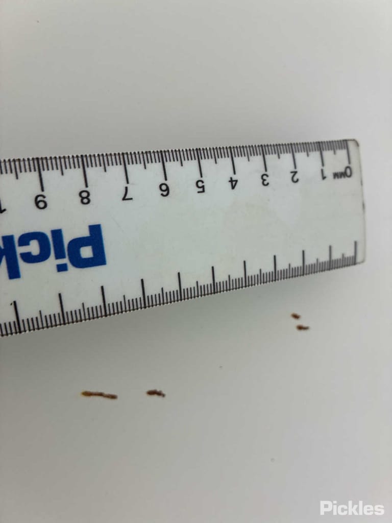 Slide 33
