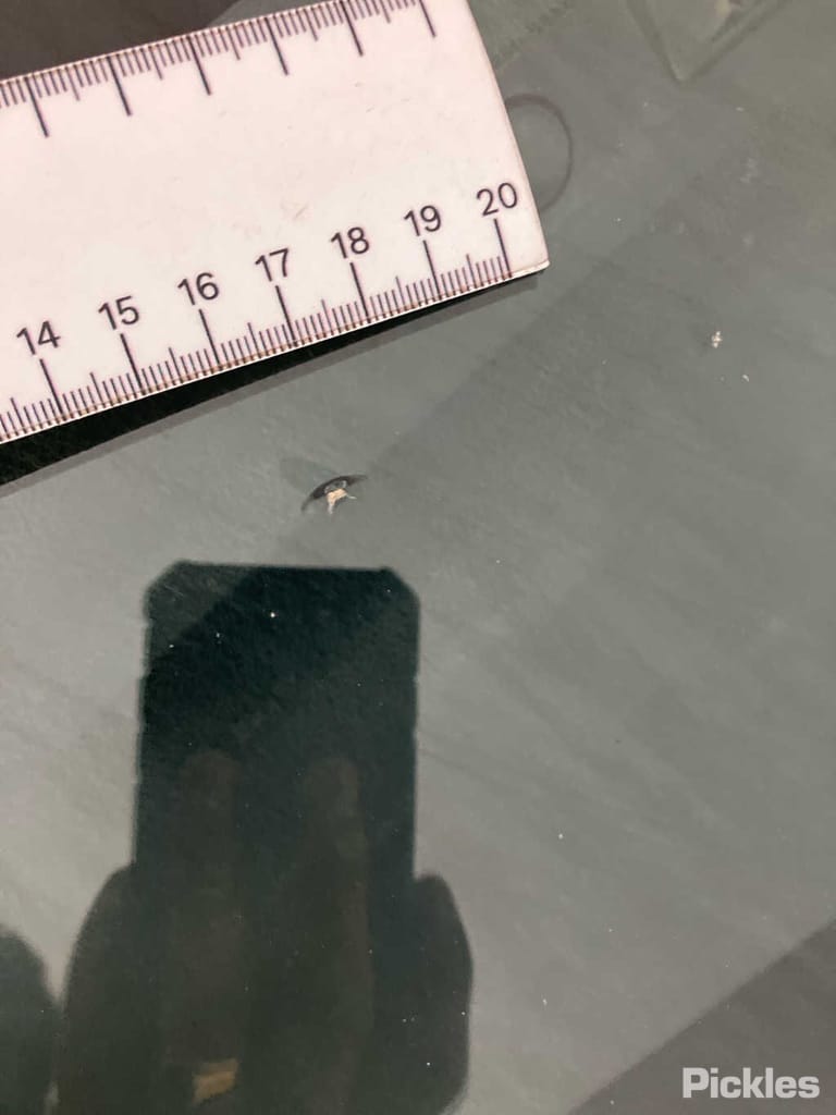 Slide 41