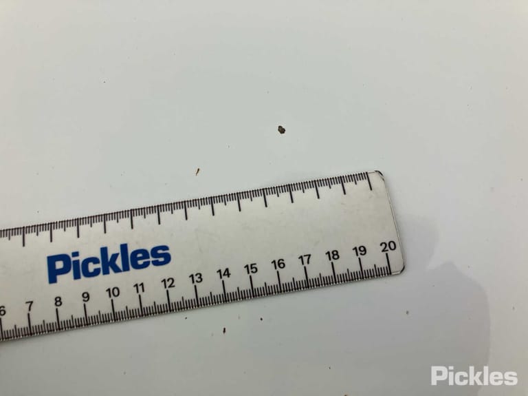 Slide 37