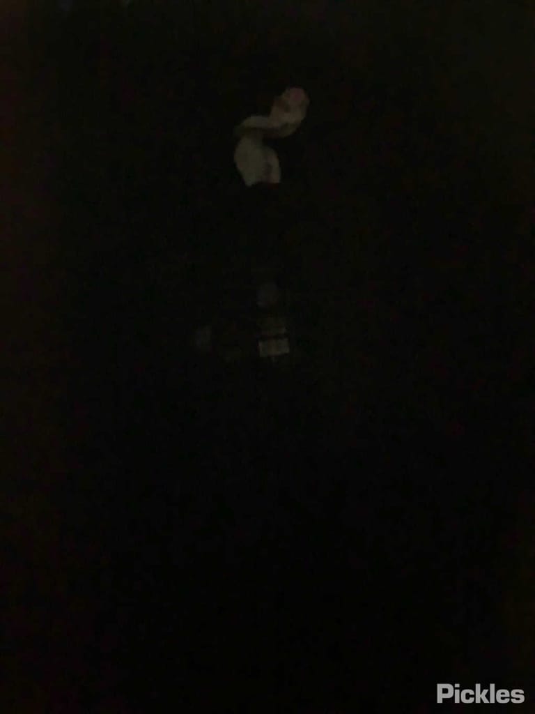 Slide 8