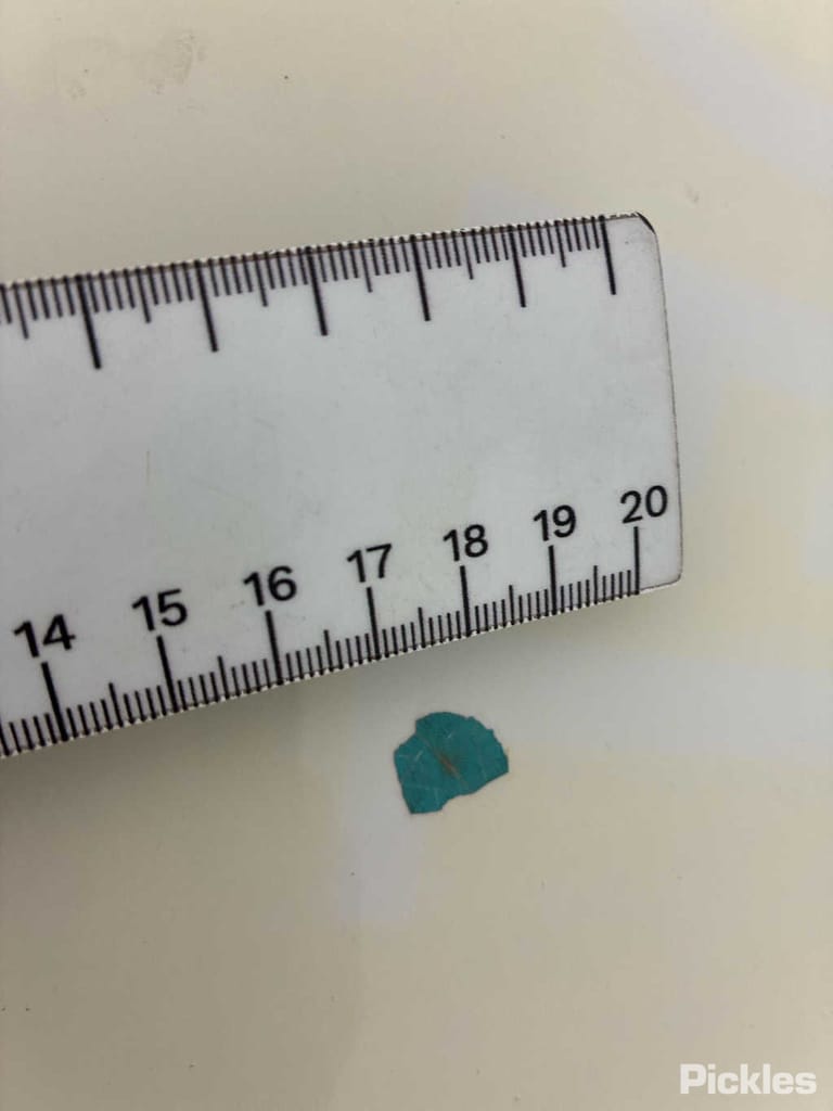 Slide 31