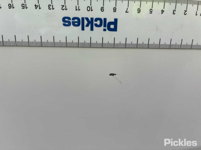 Slide 55
