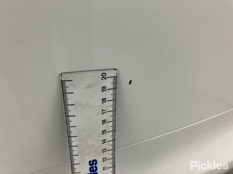 Slide 41