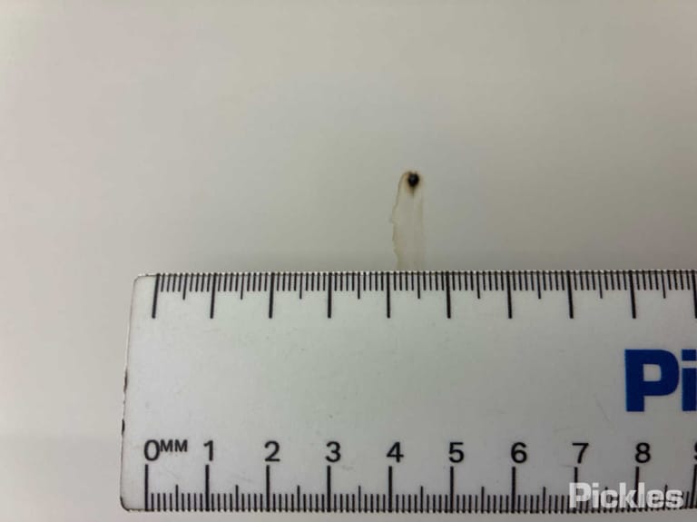 Slide 31
