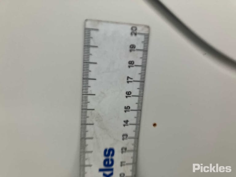 Slide 53
