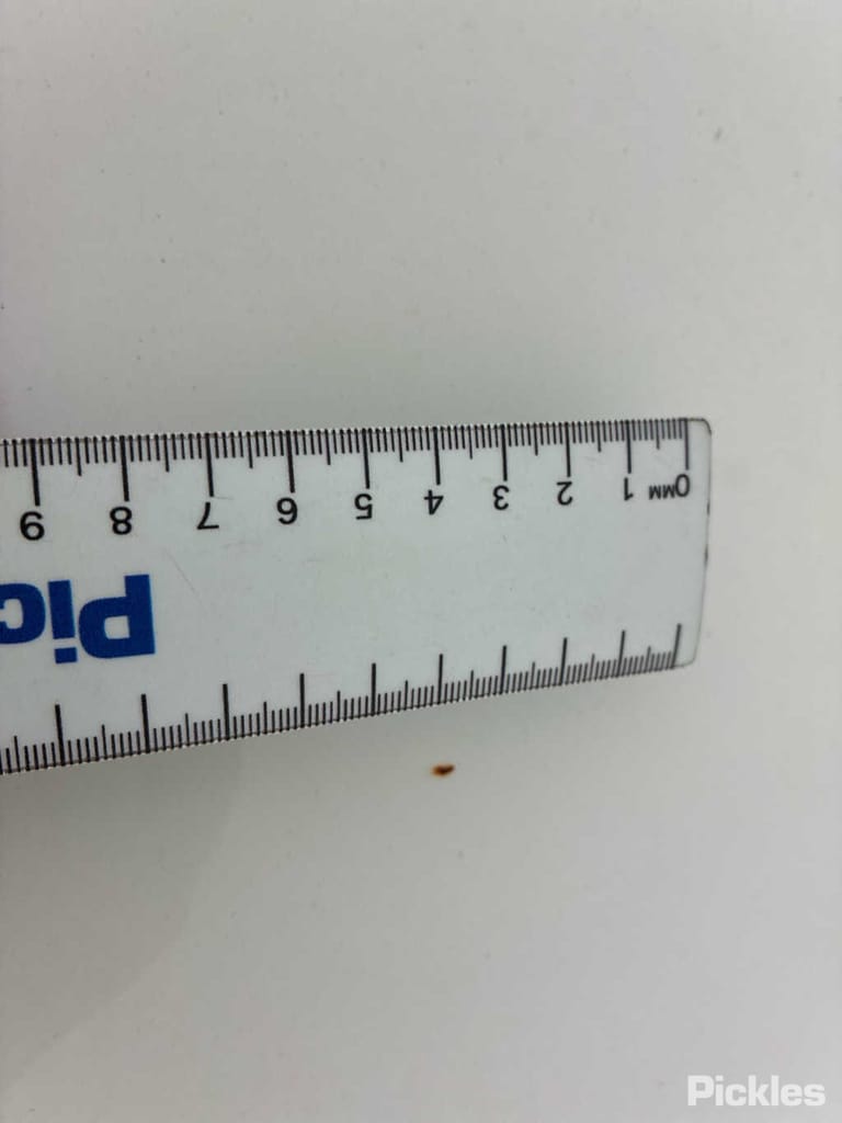 Slide 31