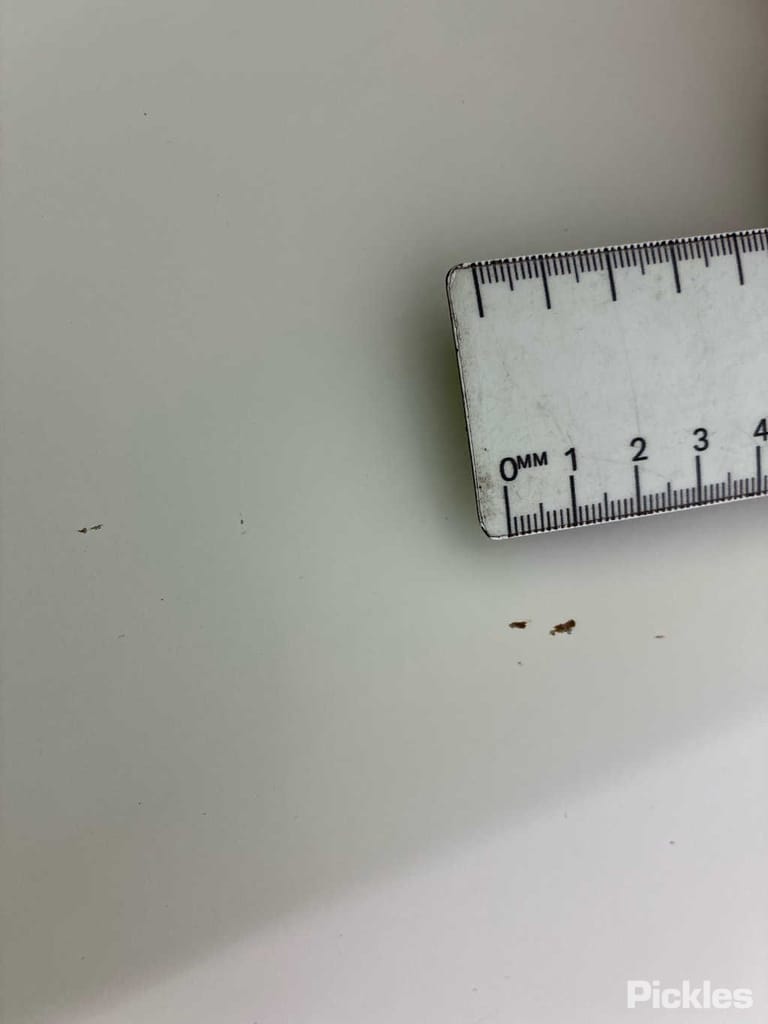Slide 42