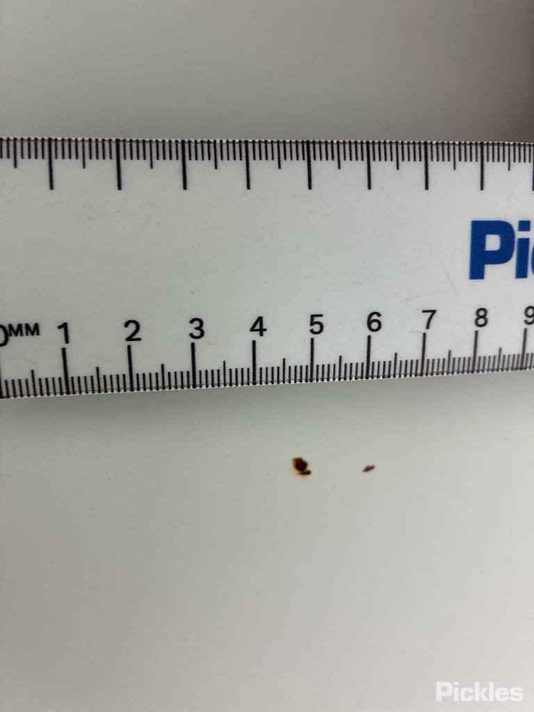 Slide 31