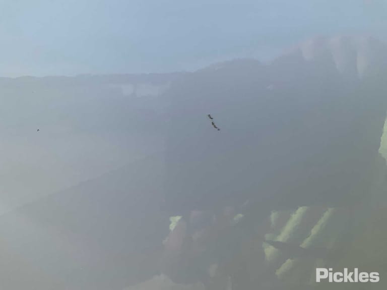 Slide 60