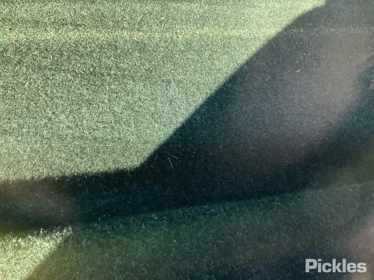 Slide 8