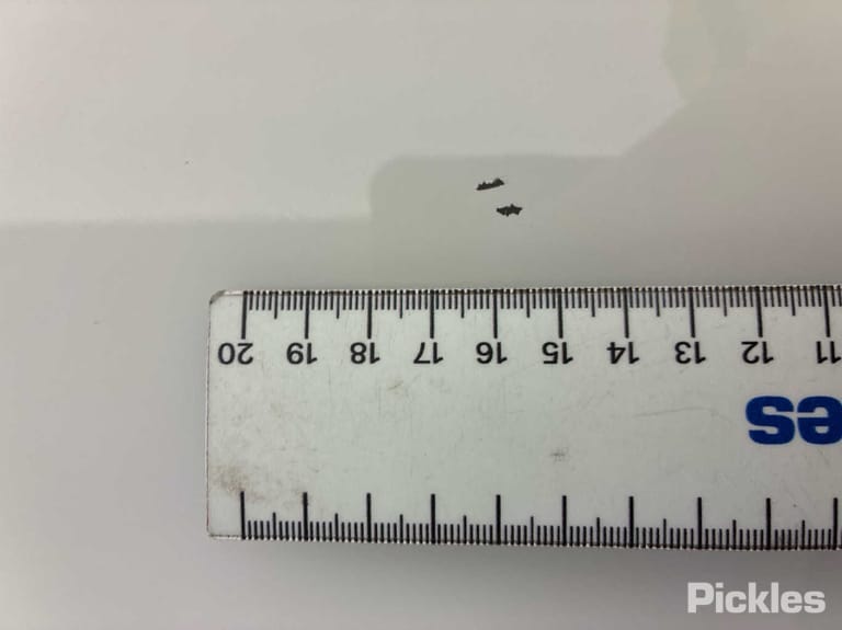 Slide 29