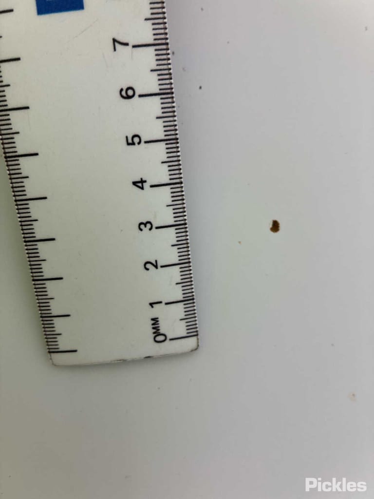 Slide 31