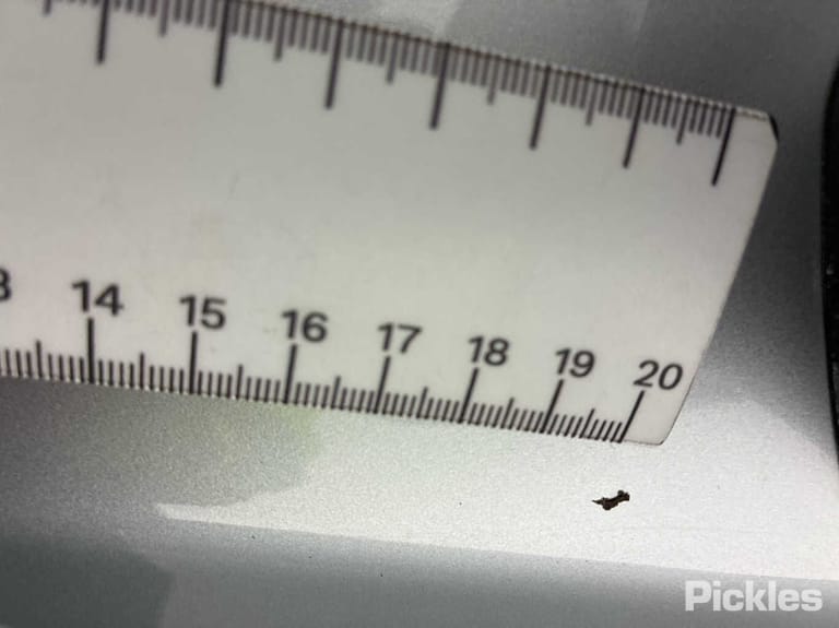 Slide 29