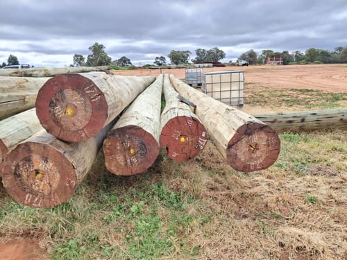 slide-items-2