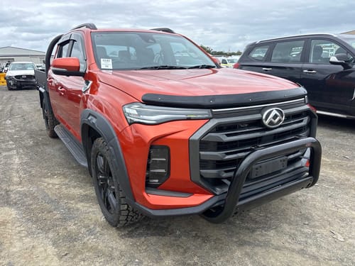 2023 Ldv T60